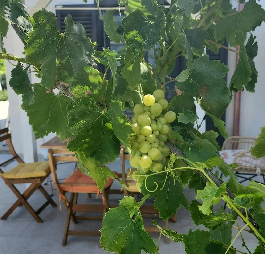 Villa Andrea San Lorenzo Noto Appartamento